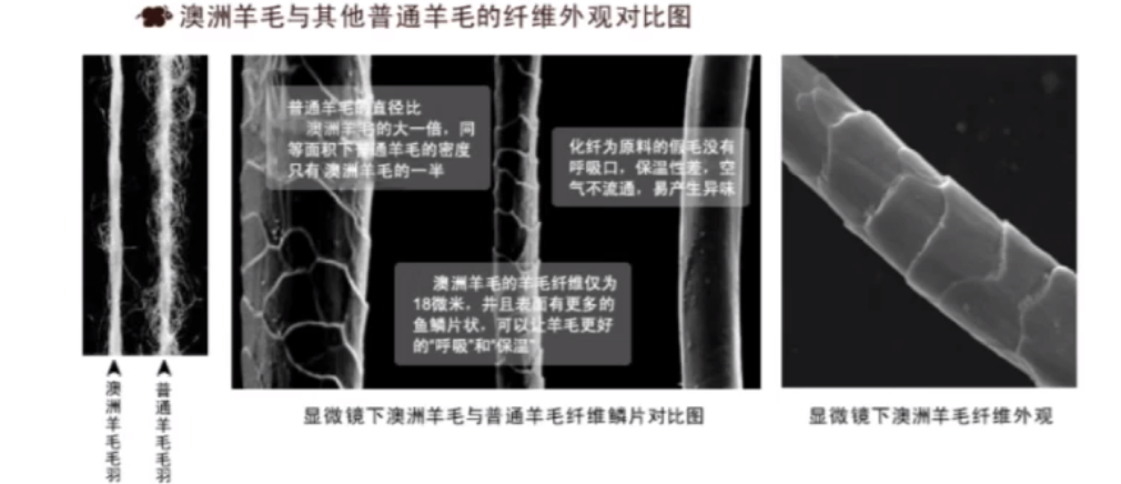 郭丽莎：设计师视角带你认识面料