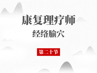 20 第二十节-不寐、心悸