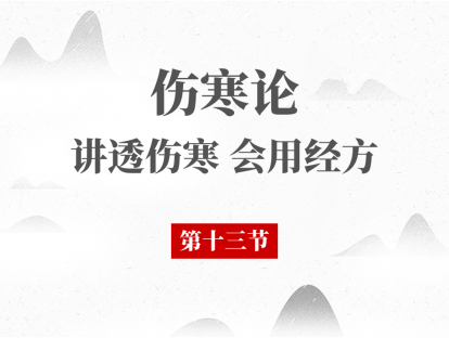 13 第十三节 少阳病概述