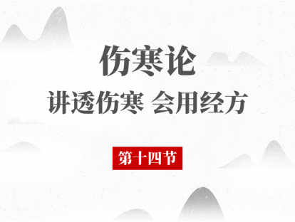 14 第十四节 少阳病本证