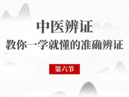06 辨阴阳虚损证和气血病辨证第一节