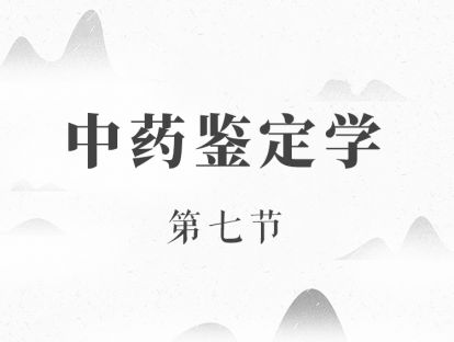 中药鉴定学（7）