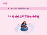 松树永远不可能长成杨树