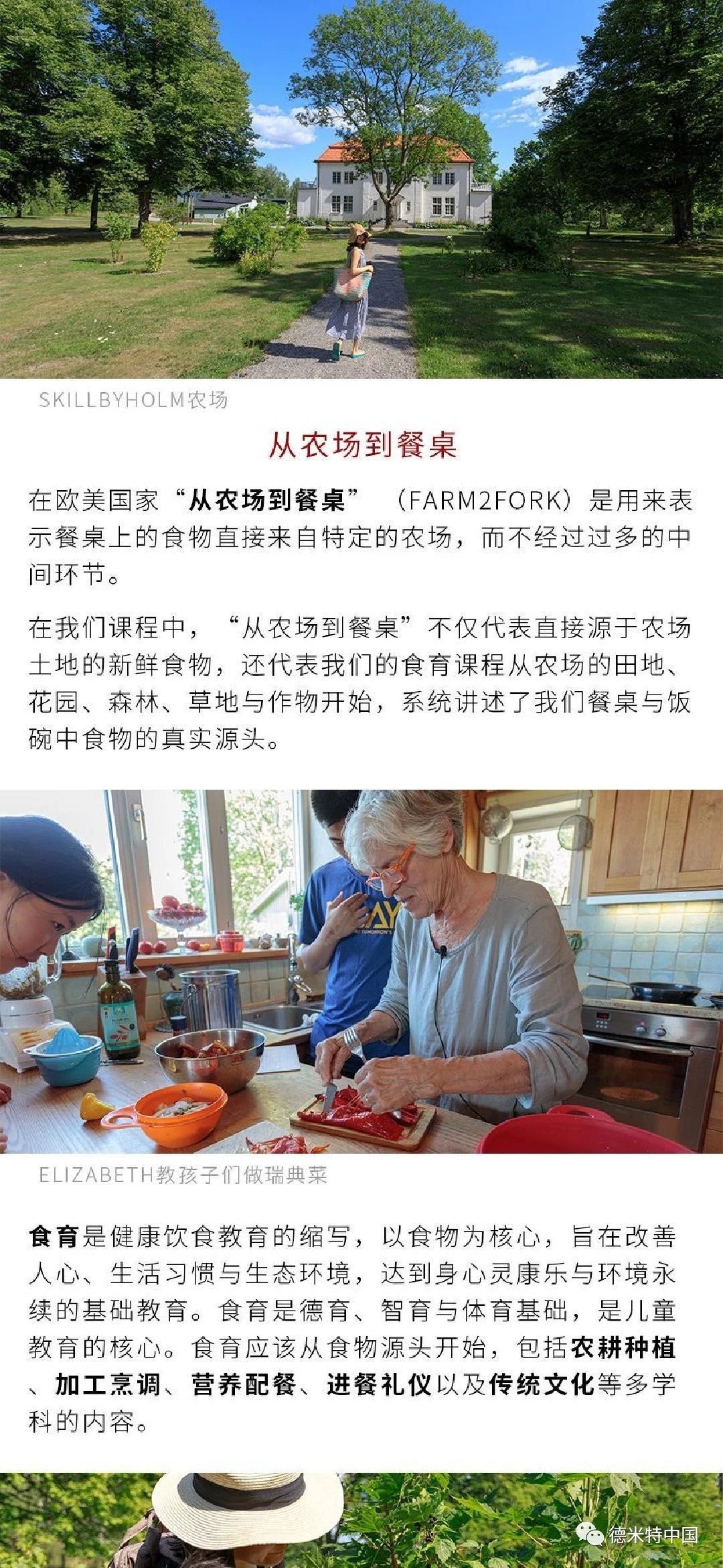 从农场到餐桌——中国·瑞典国际亲子食农课程
