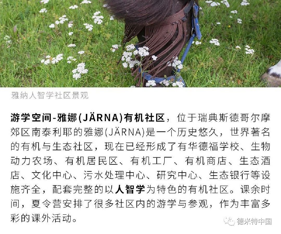 从农场到餐桌——中国·瑞典国际亲子食农课程