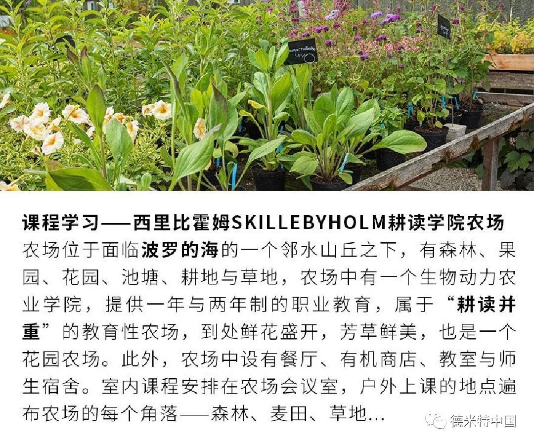 从农场到餐桌——中国·瑞典国际亲子食农课程