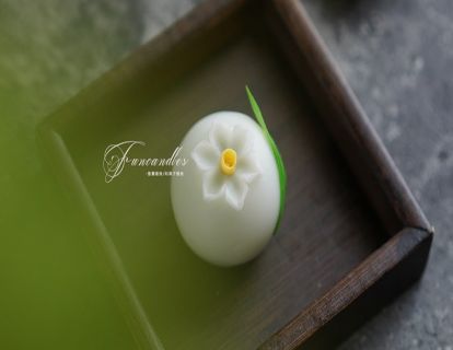 香薰蜡烛448：果子蜡烛--水仙花2
