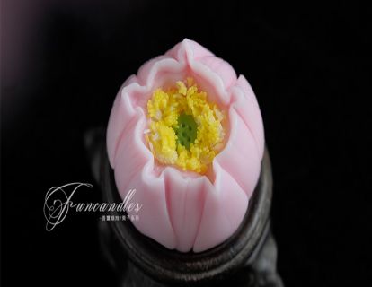 香薰蜡烛458：果子蜡烛--荷花花苞