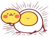 02《是谁吃了鸡蛋壳》