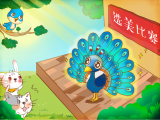 16.会开屏的孔雀