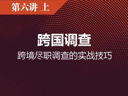 第六讲（上） 跨国调查：跨境尽职调查的实战技巧