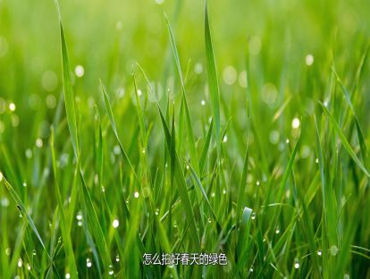 阳春3月，这些题材新人也能拍出好照片，你都拍过了么？