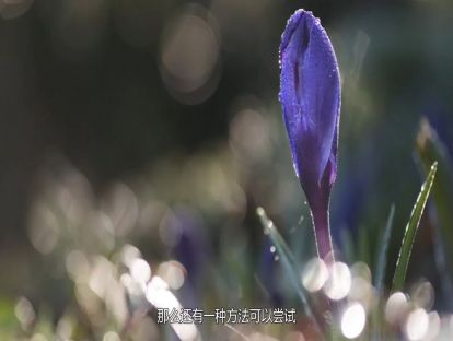 拍照这一个技巧做好，能让你所有照片档次都上来，摄影干货-已发