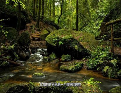 春季拍花草最常犯的3个禁忌，理解后对未来摄影学习大有帮助！