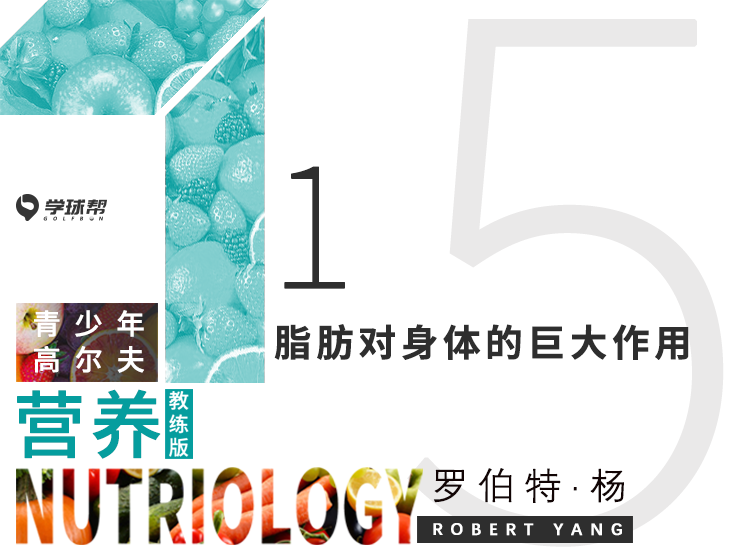 第十三课 5-1 脂肪对身体的巨大作用