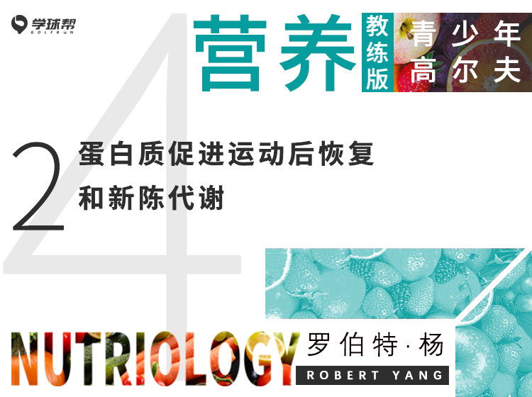 第十一课 4-2 蛋白质促进运动后恢复和新陈代谢
