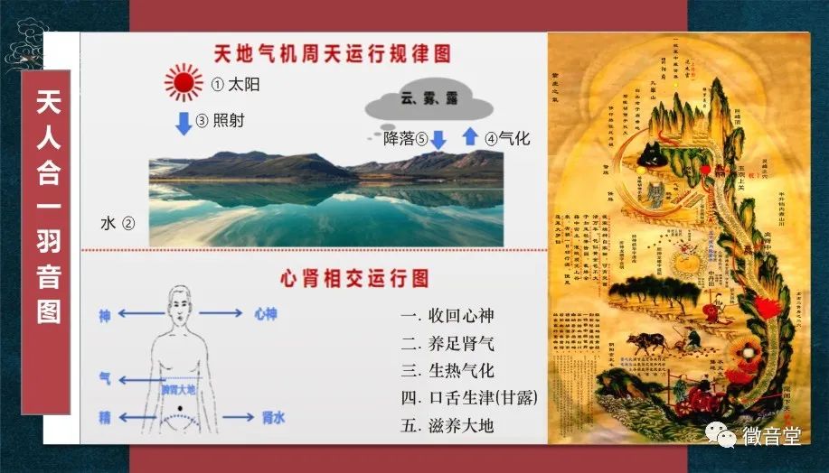 《埙炁频率》