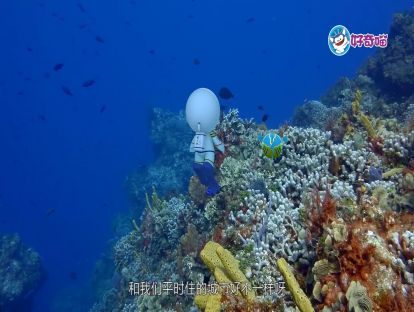 1.繁华的海底城市