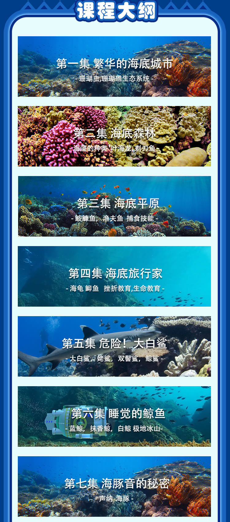 奇妙的海洋