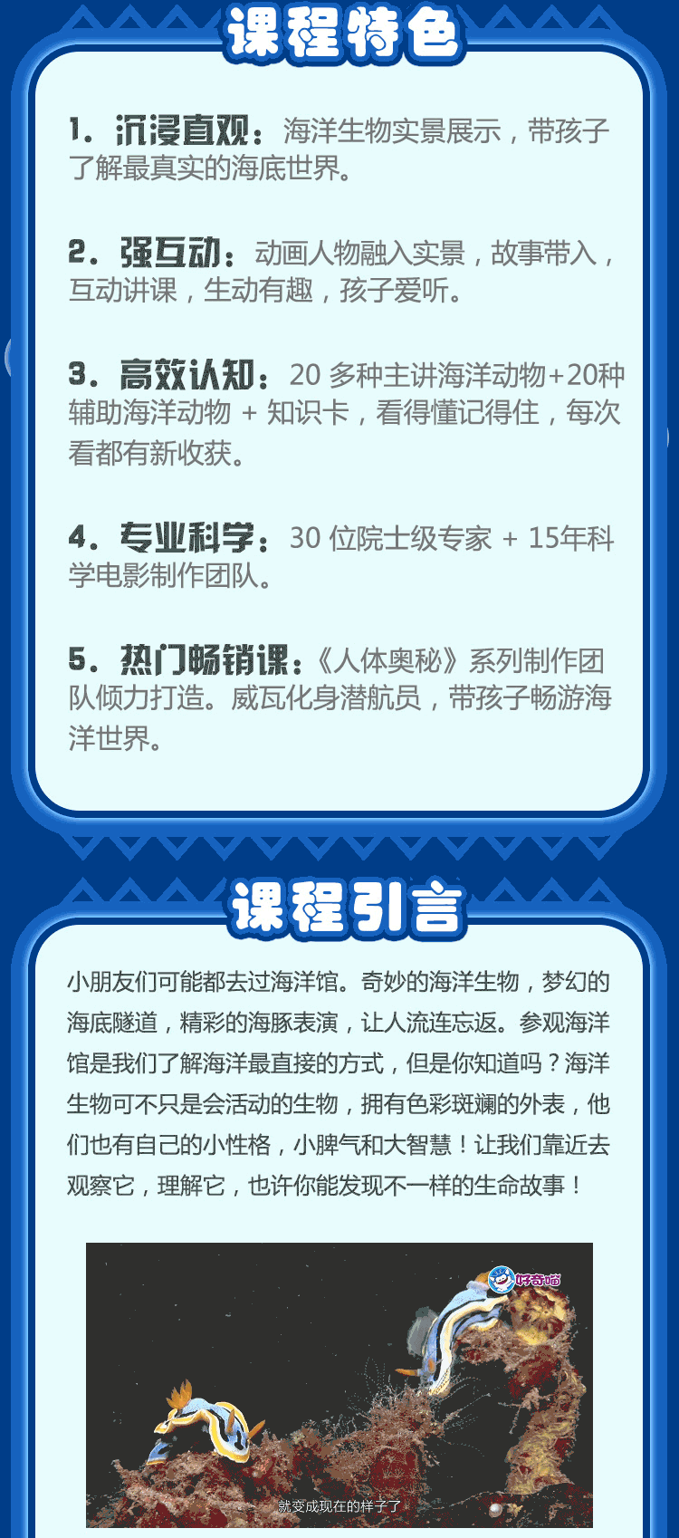 奇妙的海洋