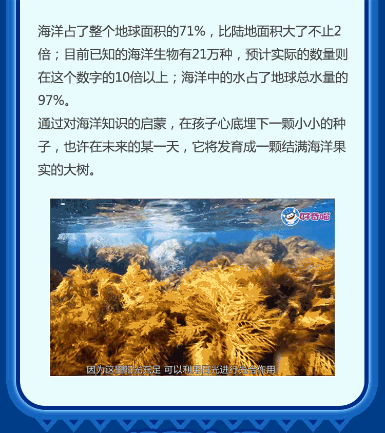 奇妙的海洋