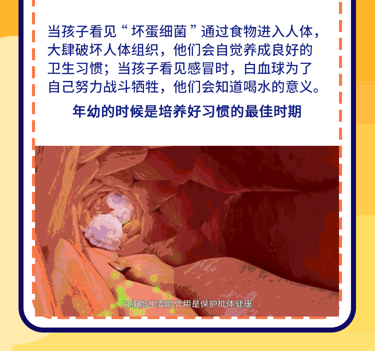 人体奥秘
