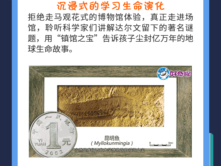 给少年看的进化论