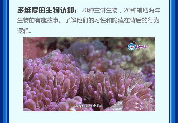 奇妙的海洋
