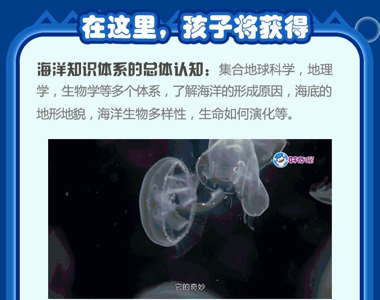奇妙的海洋