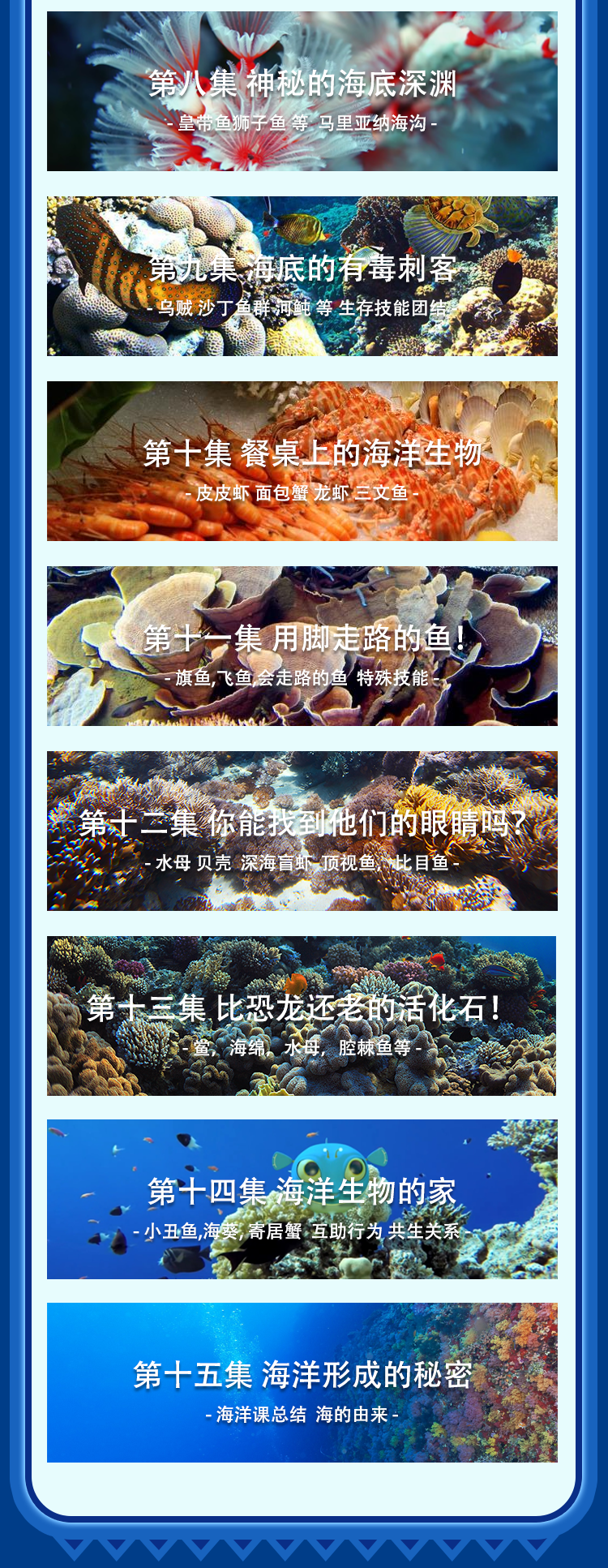 奇妙的海洋