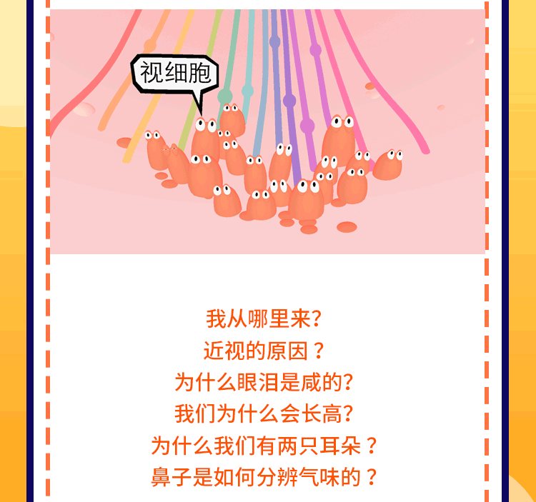 人体奥秘