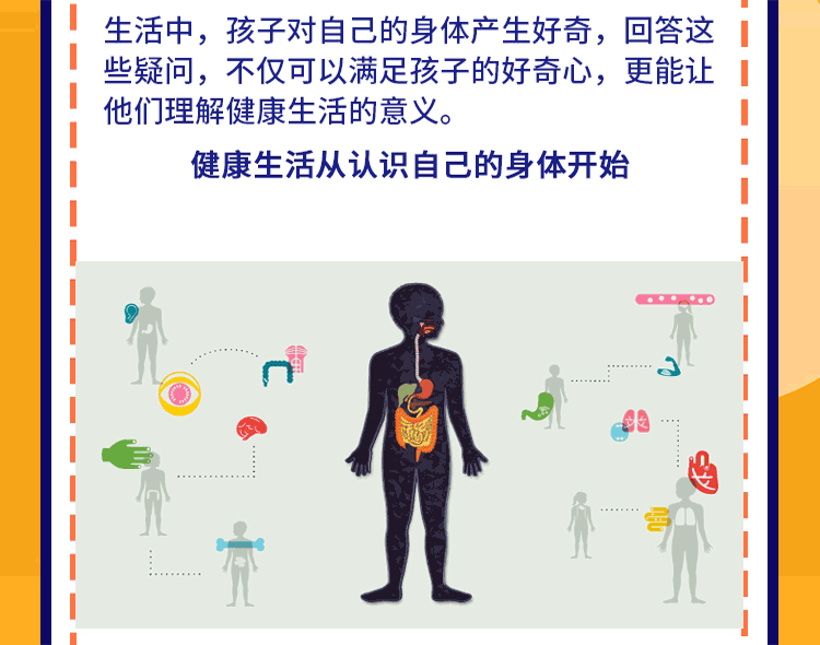 人体奥秘