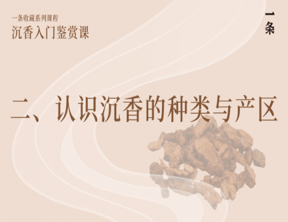 二、认识沉香的种类与产区
