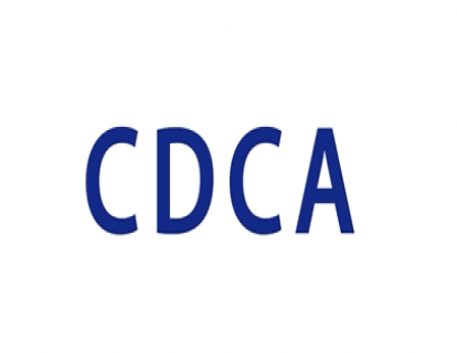 1.CDCA®模型 讲解