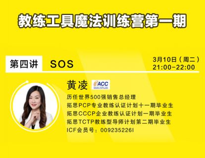 4.SOS【学习资料】