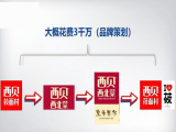 试看：花3千万做品牌营销，带来了什么好处？