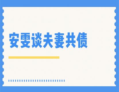 安雯谈夫妻共债