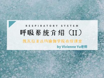 第2课：瑜伽解剖学呼吸系统介绍2（Vivienne Yu老师）