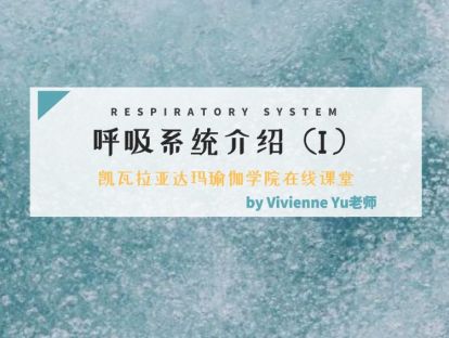 第1课：瑜伽解剖学呼吸系统介绍1（Vivienne Yu老师）