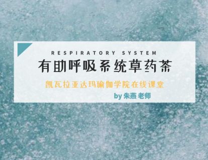 第12课：有益于呼吸系统的阿育吠陀草药茶饮（朱燕老师）
