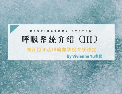 第3课：瑜伽解剖学呼吸系统介绍3（Vivienne Yu老师）