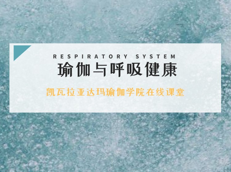 免费试听第1课！凯瓦拉亚达玛瑜伽学院“瑜伽与呼吸健康专题”觉知呼吸的奥秘