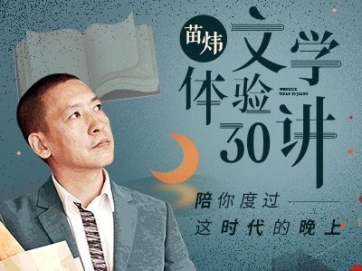 苗炜·文学体验30讲