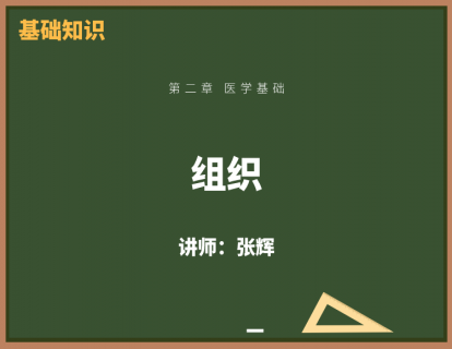 2、组织
