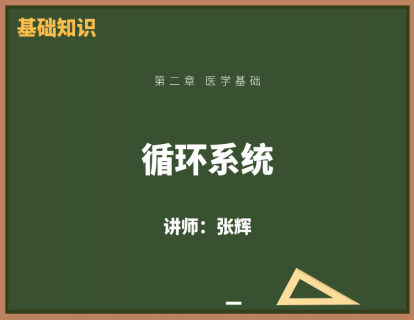 5、循环系统
