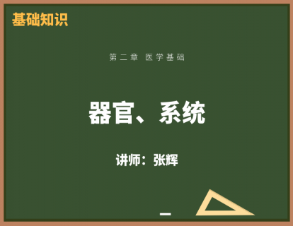 3、器官、系统