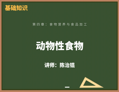 6、动物性食物