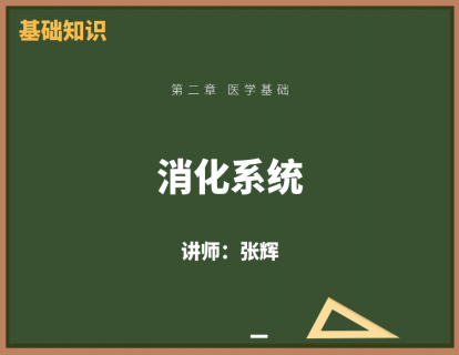 7、消化系统