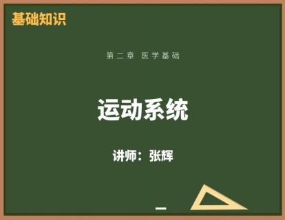 4、运动系统