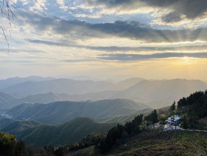 刘建林：海派莫干山